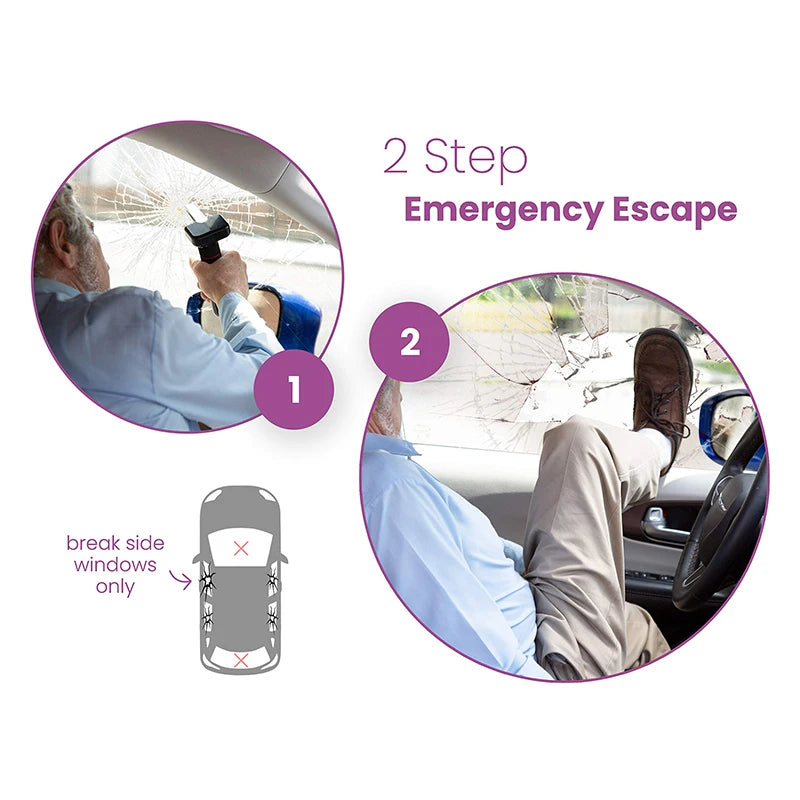 Car Door Assist Handles